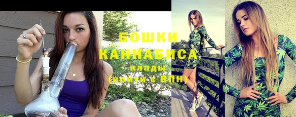 прущие крисы Вяземский