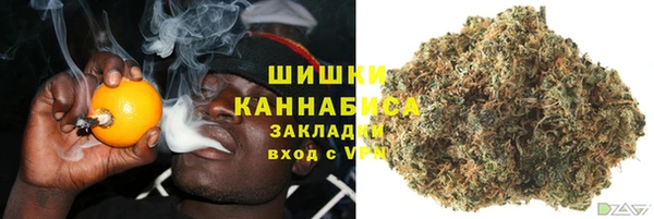 прущие крисы Вяземский