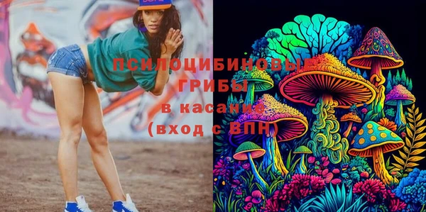 твердый Вязники