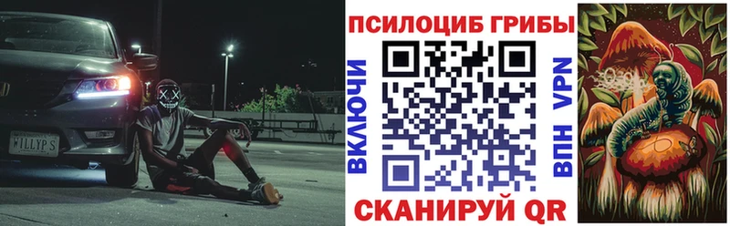 ссылка на мегу вход  наркотики  Голицыно  Галлюциногенные грибы Psilocybe 